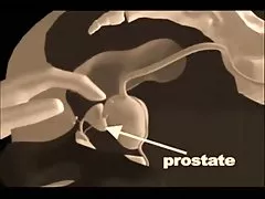 Porno baba nylon krásně péče prosil své dívky, anální sex
